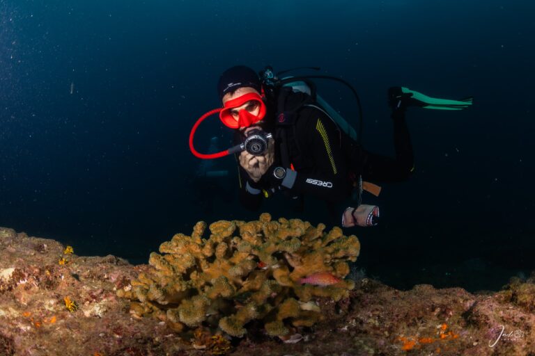 Arrecifes Coralinos En Cabo Pulmo