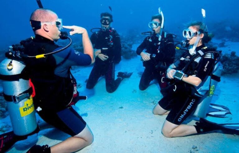 Buceo Para Principiantes En Cabo Pulmo