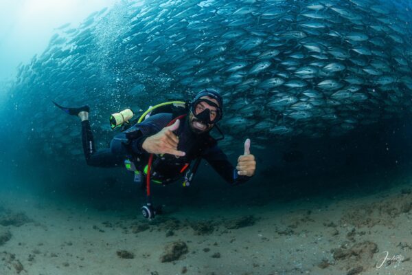 Buceo Con Jureles En Cabo Pulmo