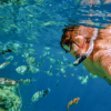 Snorkel En Cabo Pulmo
