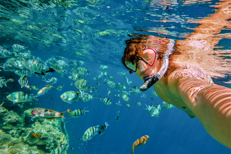 Snorkel En Cabo Pulmo