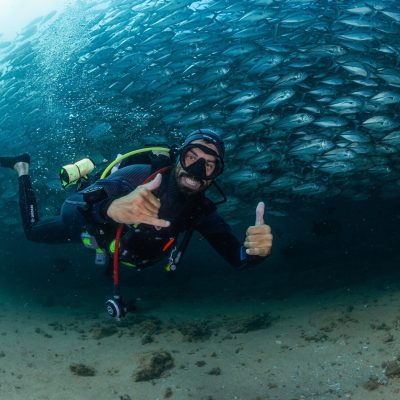 Buceo Con Jureles En Cabo Pulmo