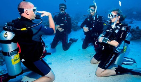Buceo Para Principiantes En Cabo Pulmo