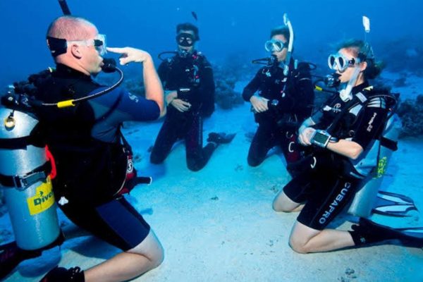 Buceo Para Principiantes En Cabo Pulmo