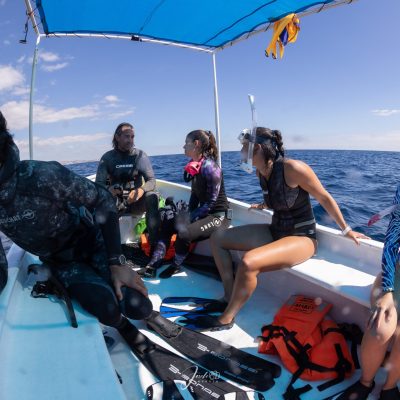 Safari Marino En La Ventana Bcs